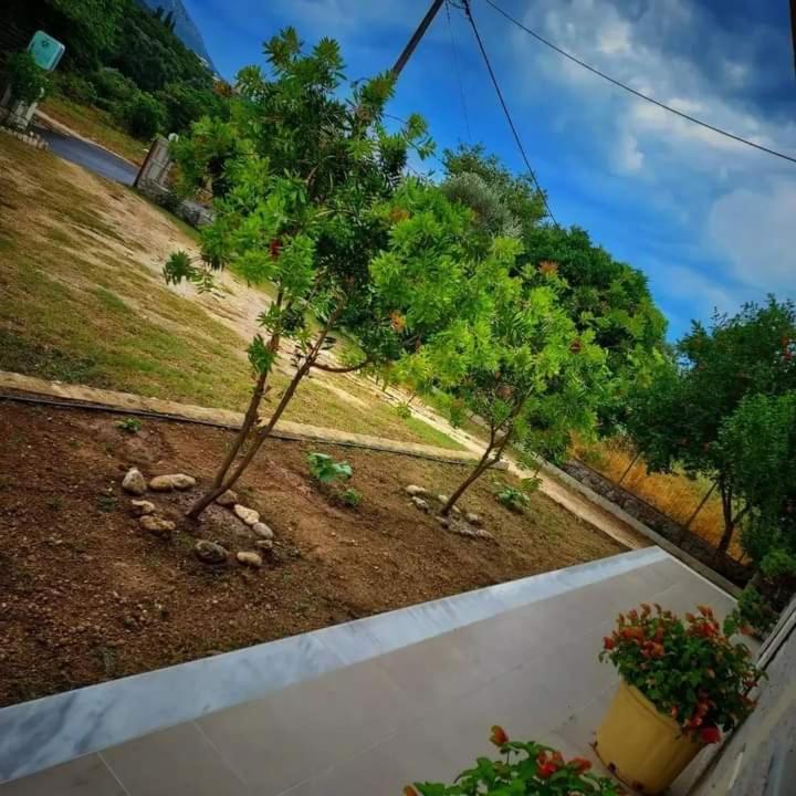 Calma Studios Párga Exterior foto